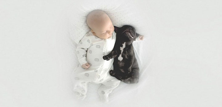 fotos amistad bebé y perro fotos amistad bebé y perro