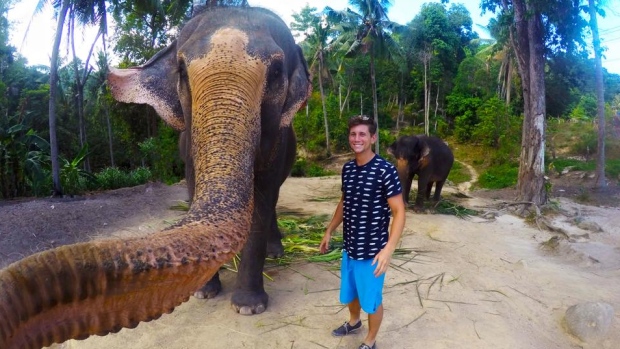 elfie, selfie de un elefante 