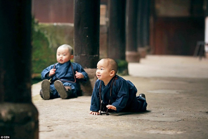 fotos niños monjes