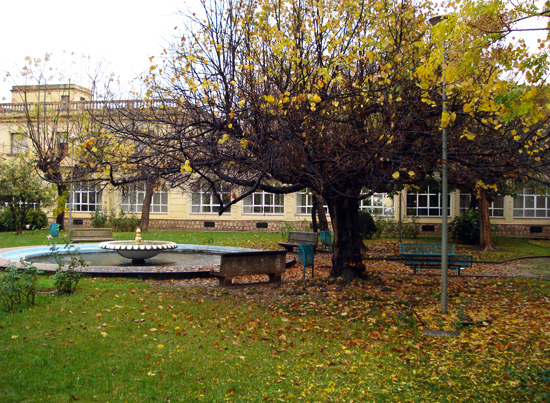 otoño 3