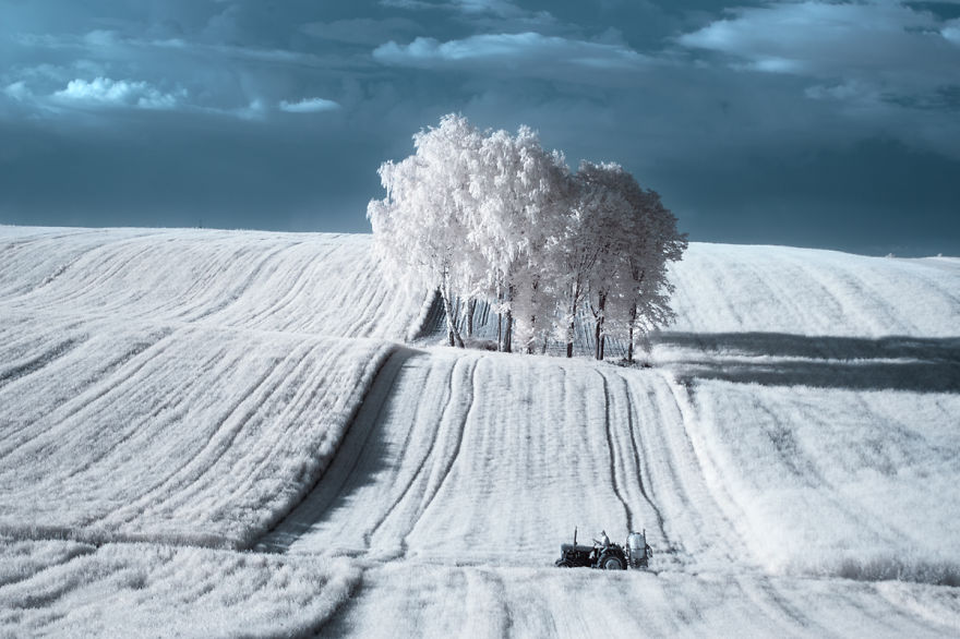 the-majestic-beauty-of-trees-captured-in-infrared-photography-2__880