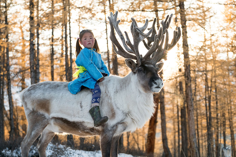 reindeer-family-4