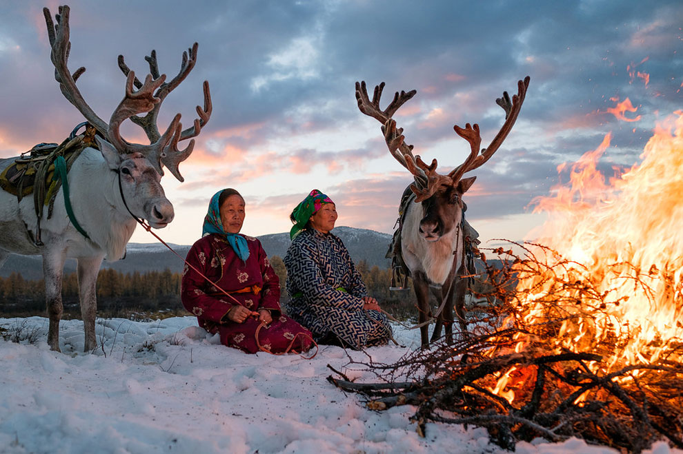 reindeer-family-6
