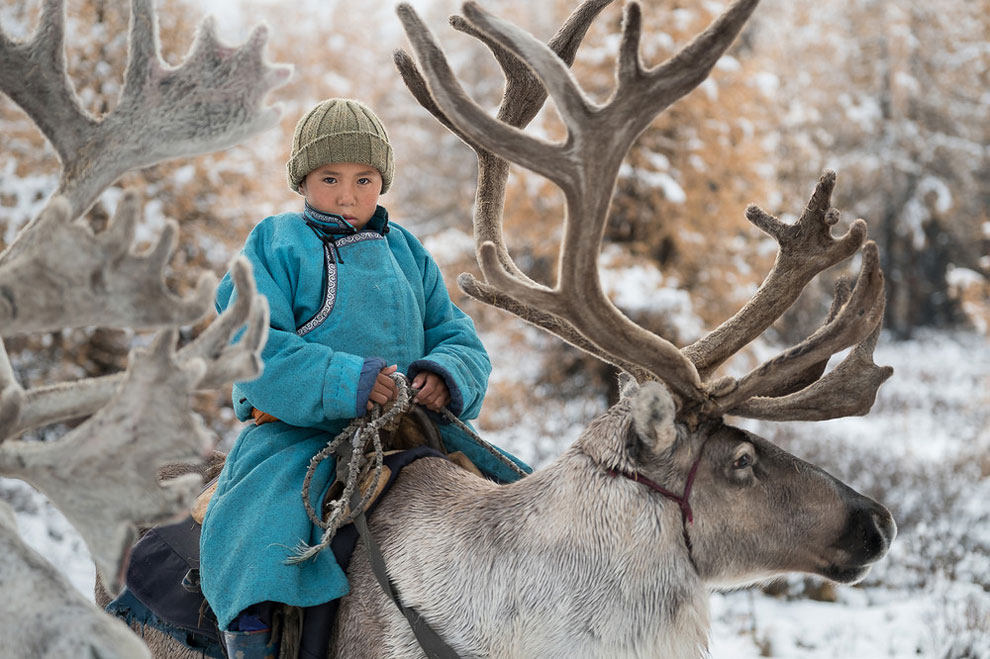 reindeer-family-9