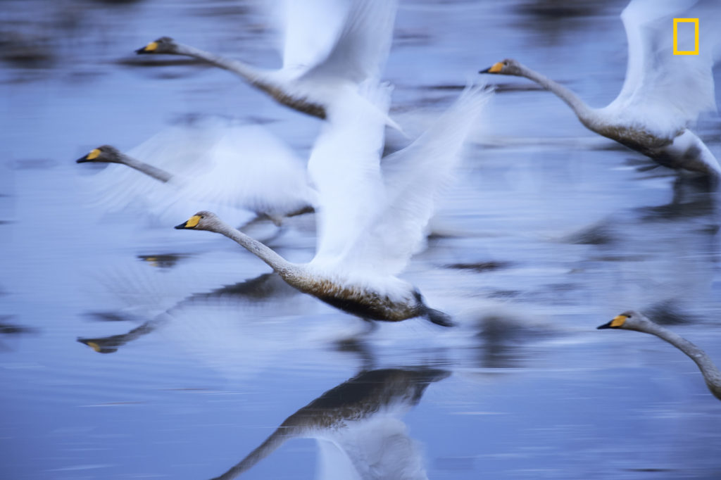 Fotograf&iacute;a realizada por Hiromi Kano, galardonado en el National Geographic Travel Photographer of the year