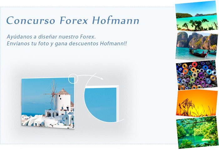 concurso Hofmann forex