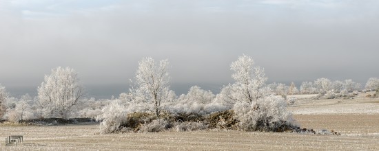 concurso hofmann invierno 