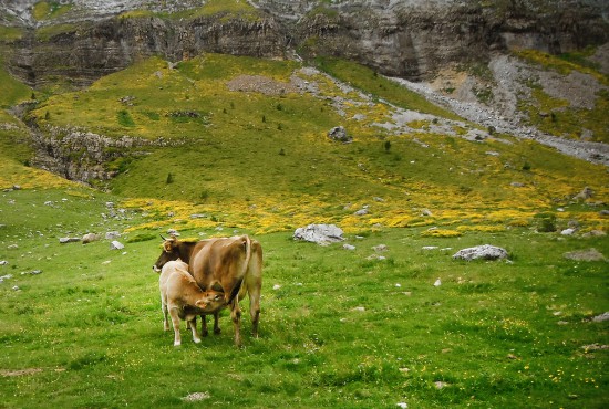 Fotos ganadoras concurso fotograf�a hofmann 