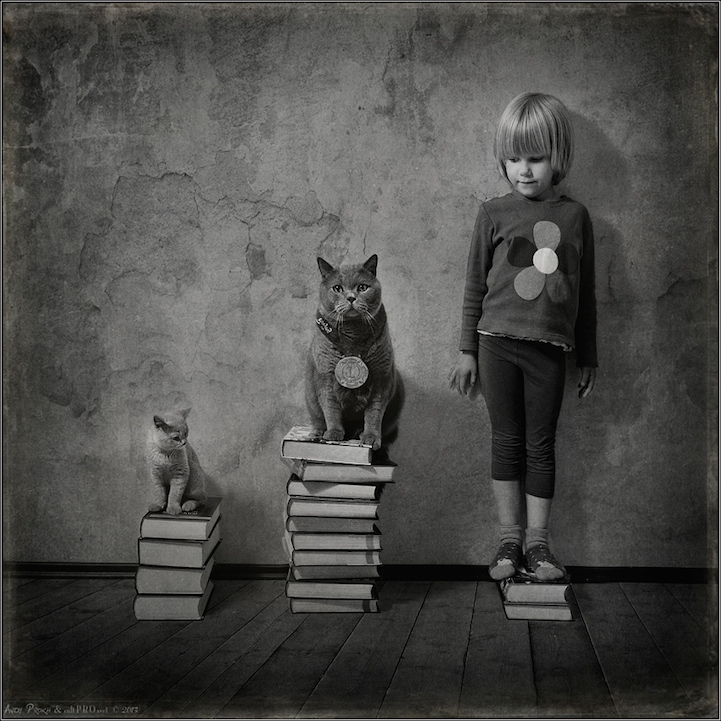 fotos animales y ni&ntilde;os