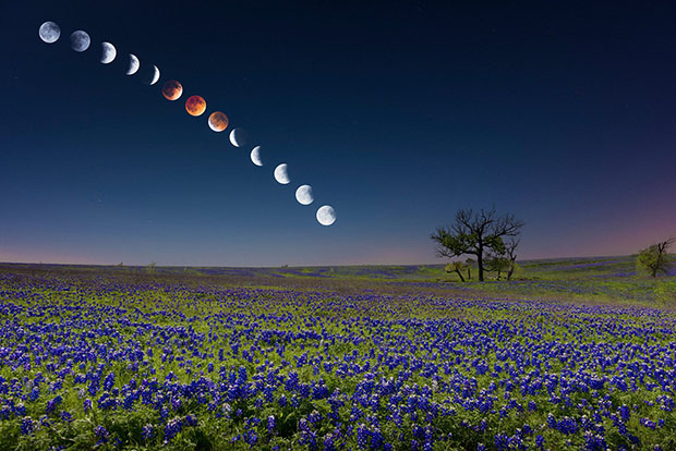 Secuencia de fotografías del eclipse de luna