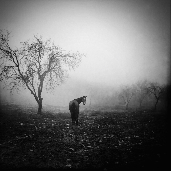 fotos monocromáticas misteriosas fotos monocromáticas misteriosas