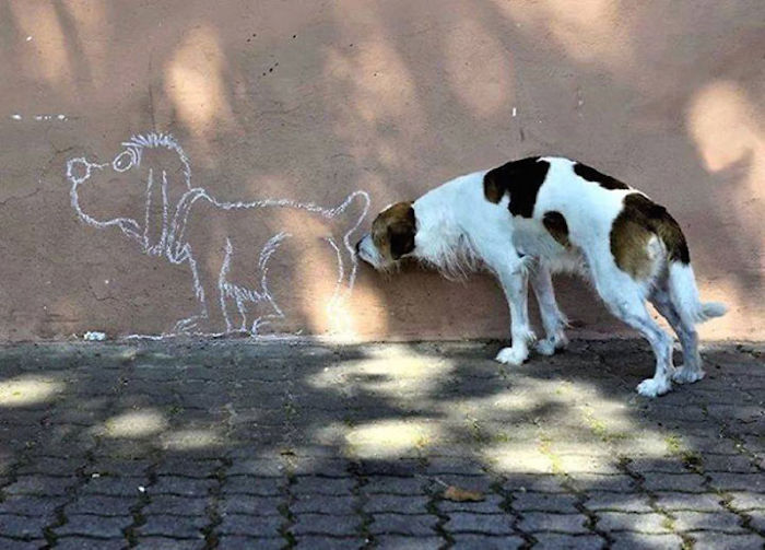 Perro olisqueando perro pintado en pared