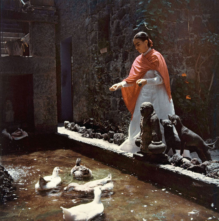 fotos frida kahlo 