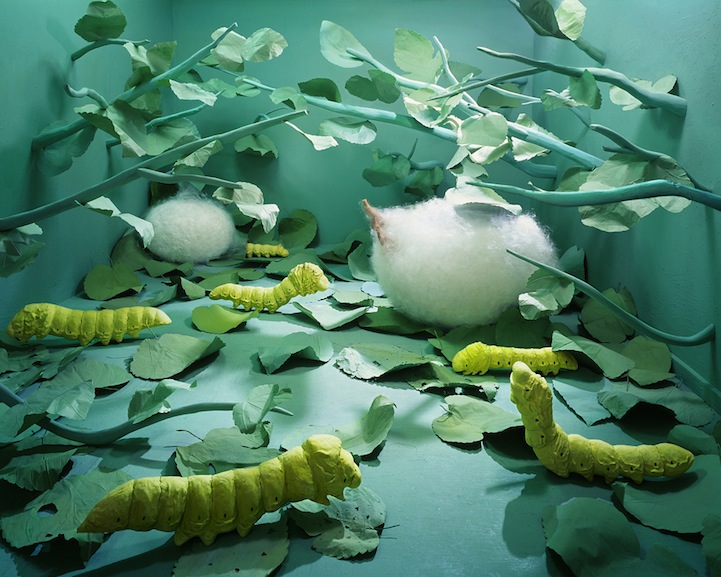 jee young lee