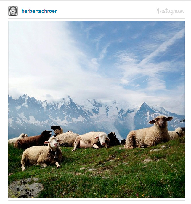 instagram