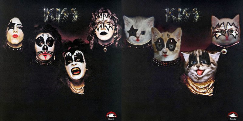 kiss cat cover