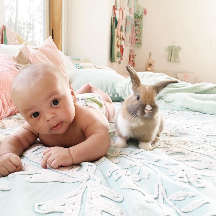 fotos bebé y su conejo 