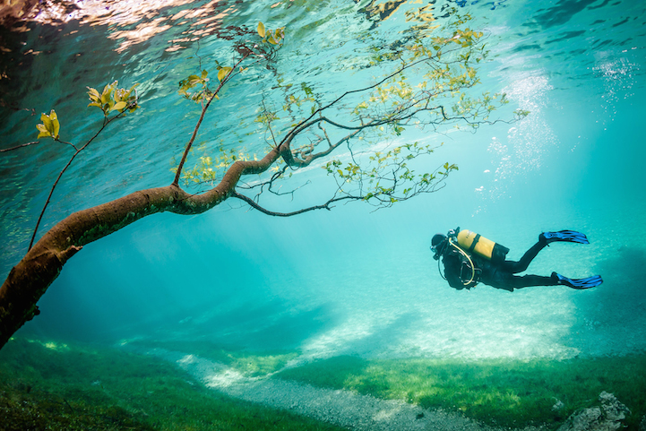 tercer premio fotos national geographic 