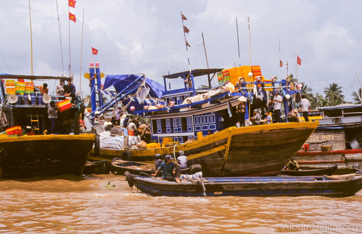 Actividad en el Delta del Mekong