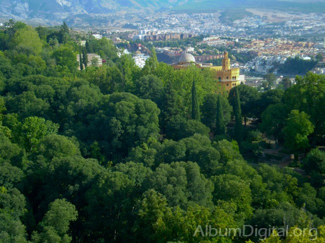Arboleda y vista de Granada