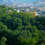 Foto Arboleda y vista de Granada