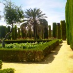 Foto Arbustos del jardin Alcazar de Cordoba