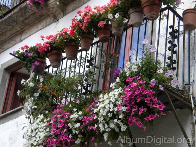 Balcon con flores