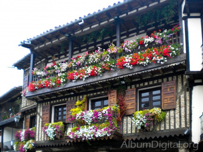 Balcon con flores
