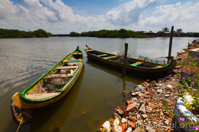Barcas de pesca de los manglares