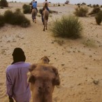 Foto Camellos en el desierto