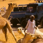 Foto Camellos y camiones en Egipto