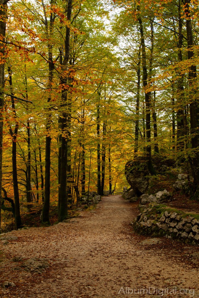 Camino del Parque Natural de Triglav