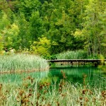 Foto Camino peatonal en el lago