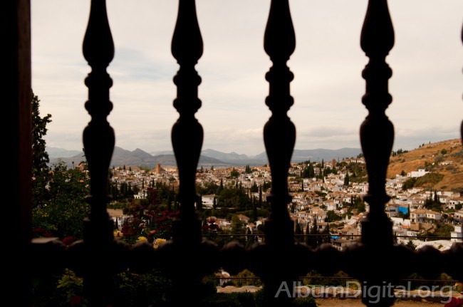 Celosia de la Alhambra