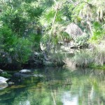 Foto Cenote