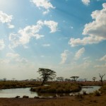 Foto Charca del Serengueti