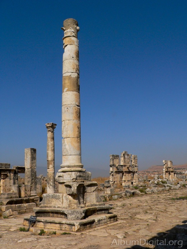 Columna Romana de Apamea