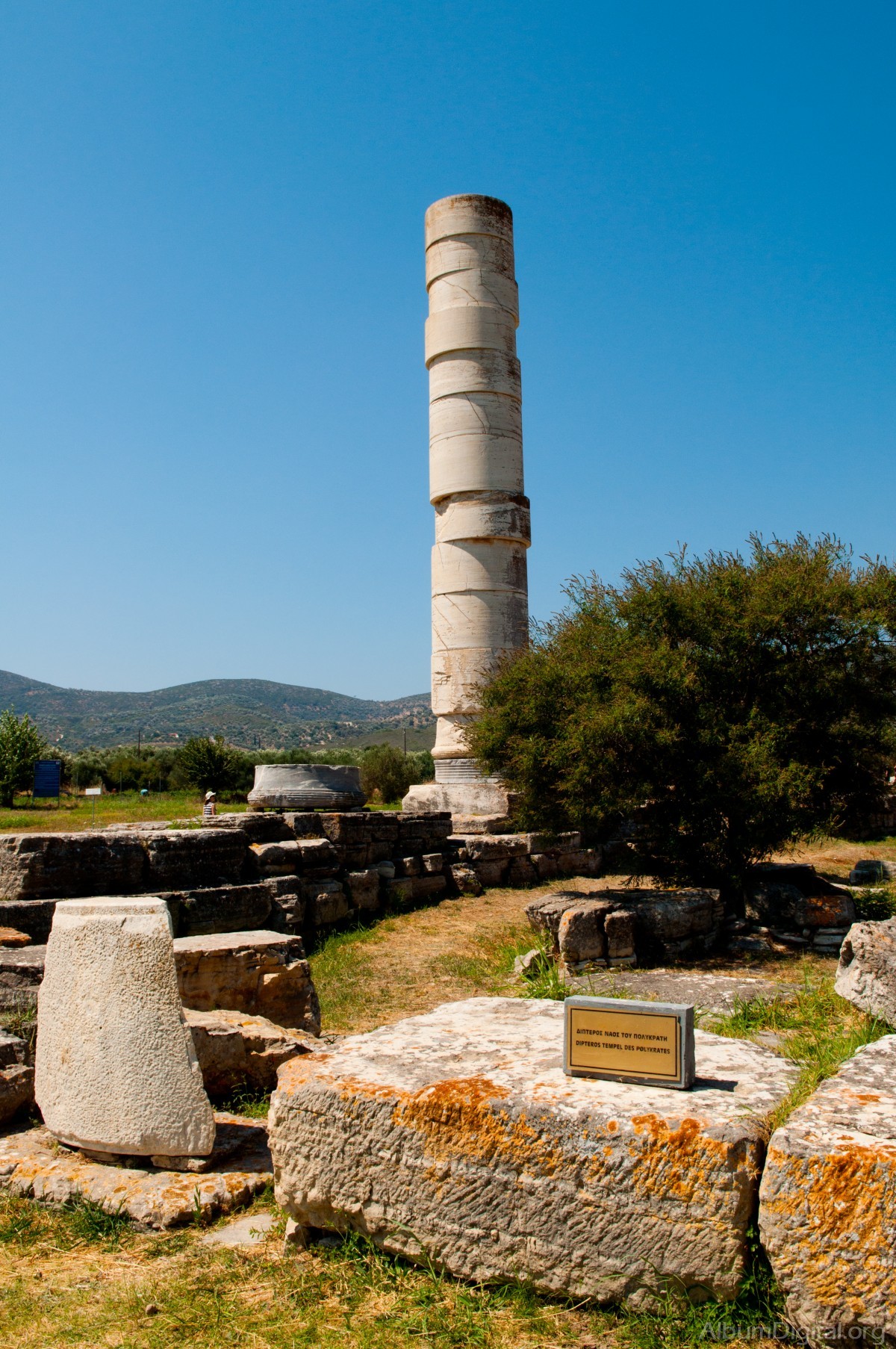 Columna Templo de Polykrates