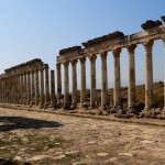 Foto Columnas calle principal de antigua Apamea