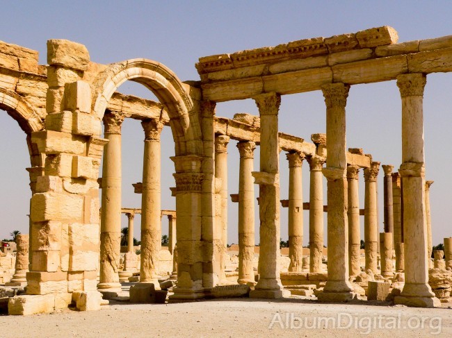 Columnas Cardo Maximo Palmira