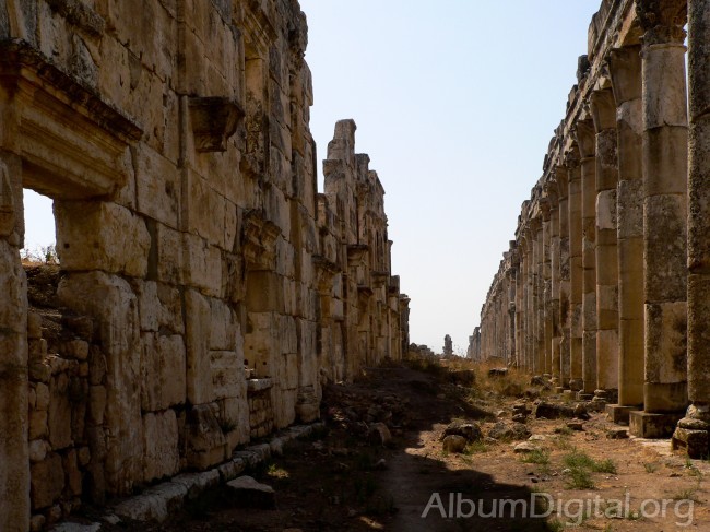 Columnas de Apamea Siria