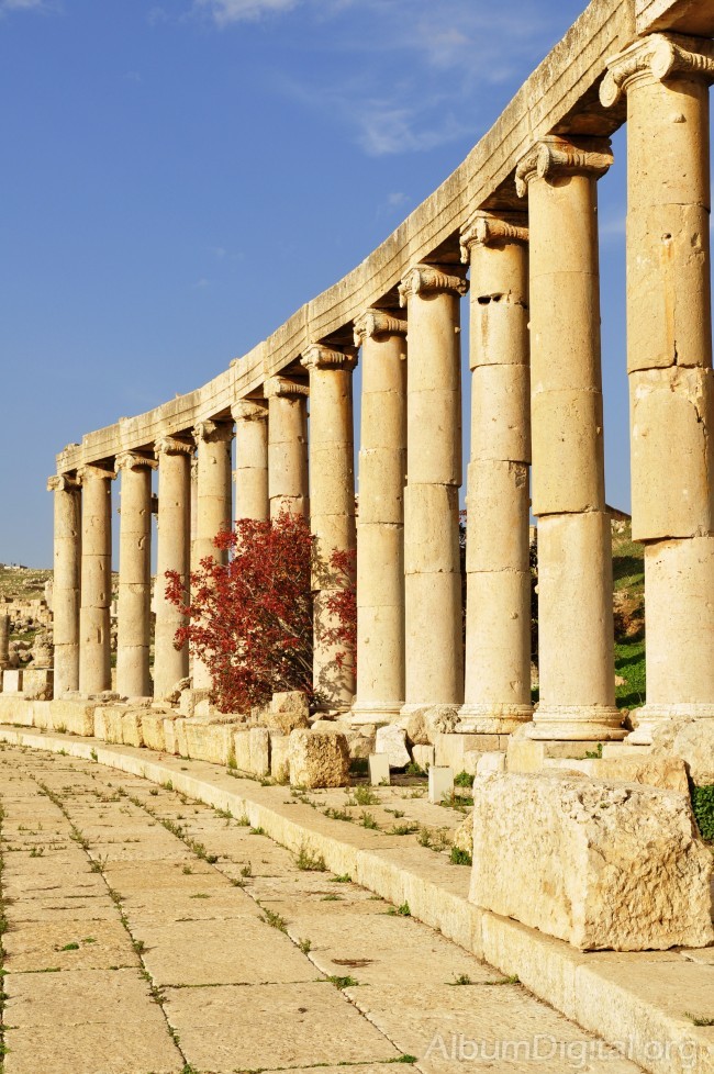 Columnas del foro Jerash