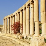 Foto Columnas del foro Jerash