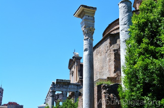 Columnas Foro Romano