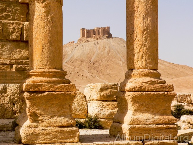 Columnas y castillo de Palmira