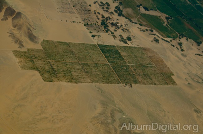Cultivos en desierto de Nazca
