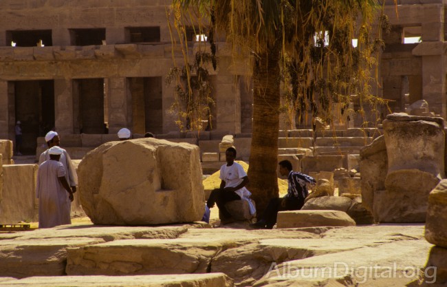 Descansando a la sombra en Luxor