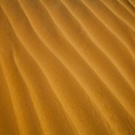 Foto El viento en la arena