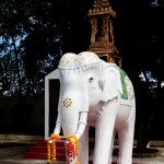 Foto Escultura Elefante Blanco