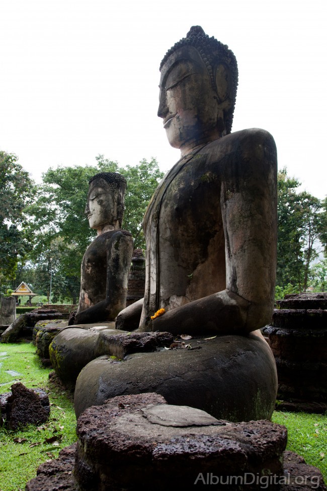 Estatuas de Buda
